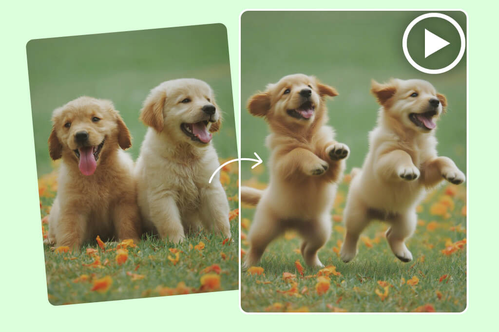 Create amusing animal dance videos to entertain children and families effortlessly.