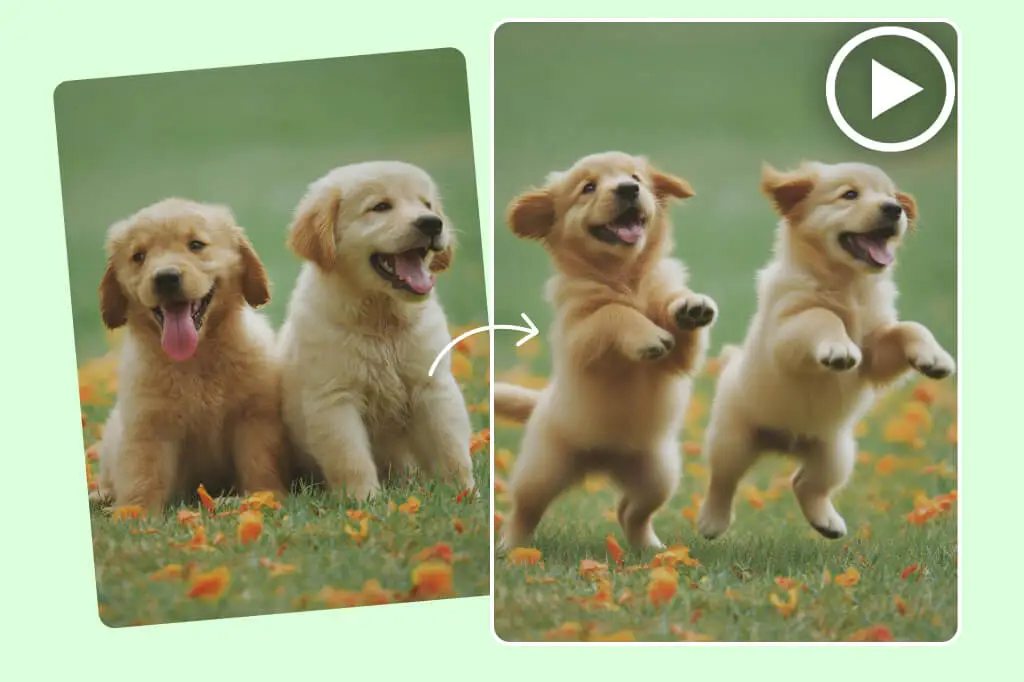 Create amusing animal dance videos to entertain children and families effortlessly.