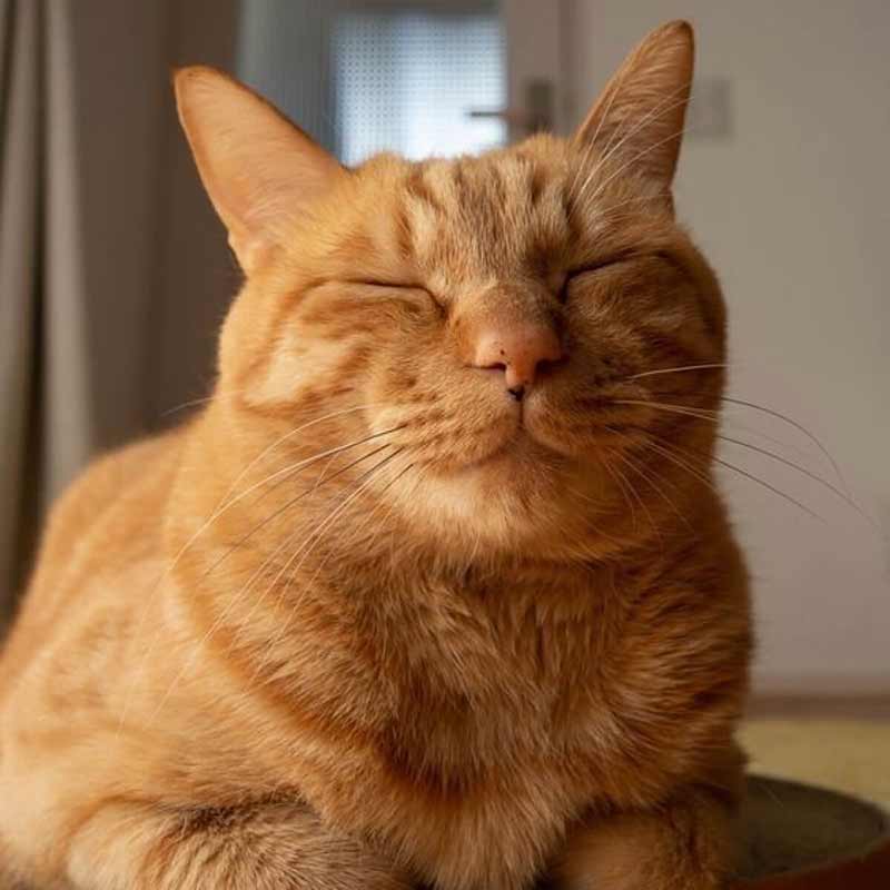 insMind AI Crying Filter Sample 1