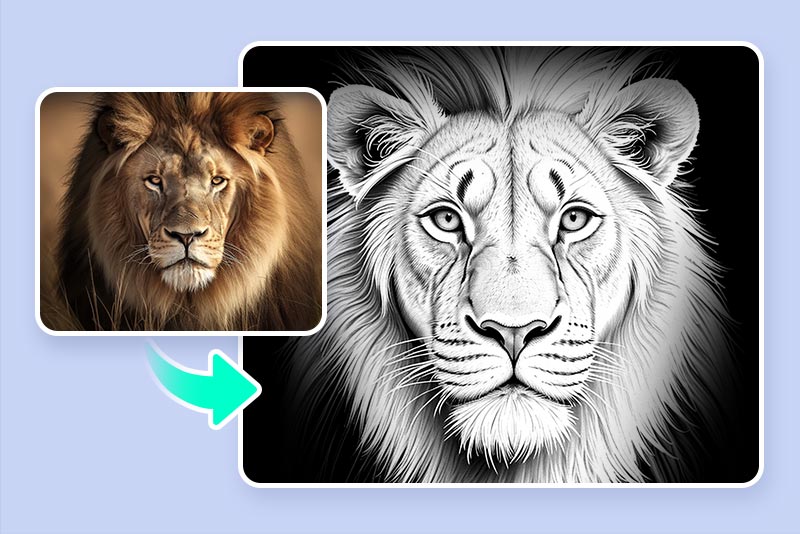 <p><strong>Tattoo&nbsp;Stencil&nbsp;Outlines</strong></p>