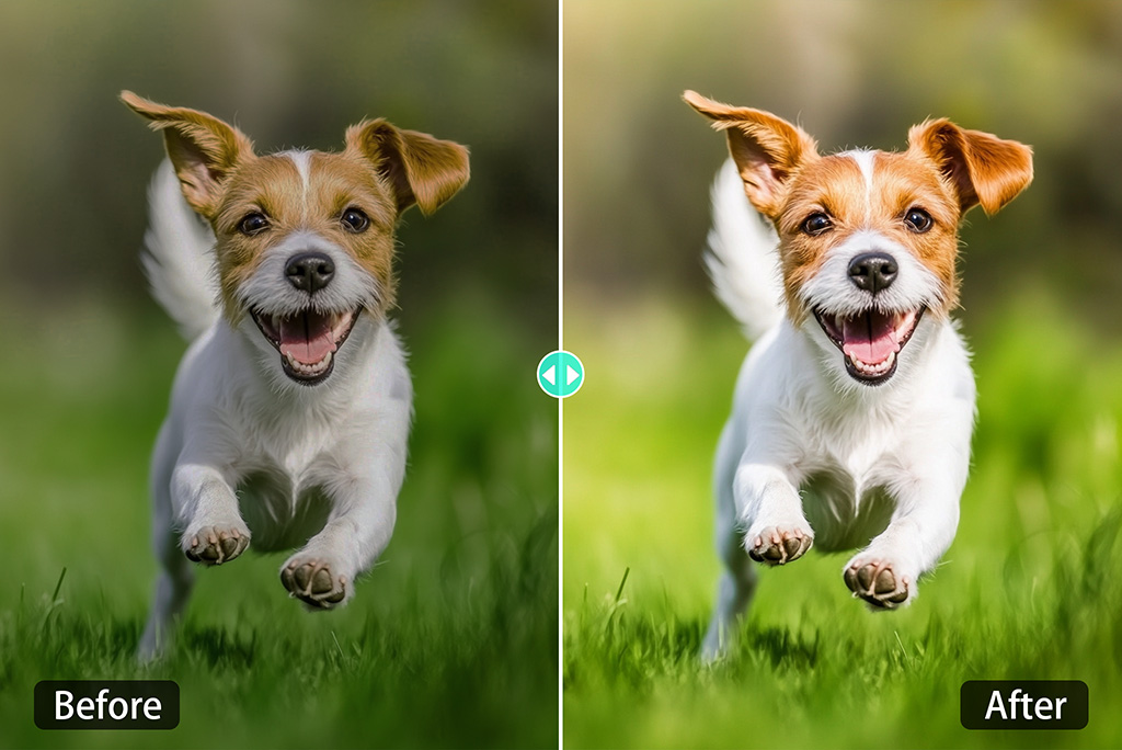 One-Click Fix for All Photo Color Issues