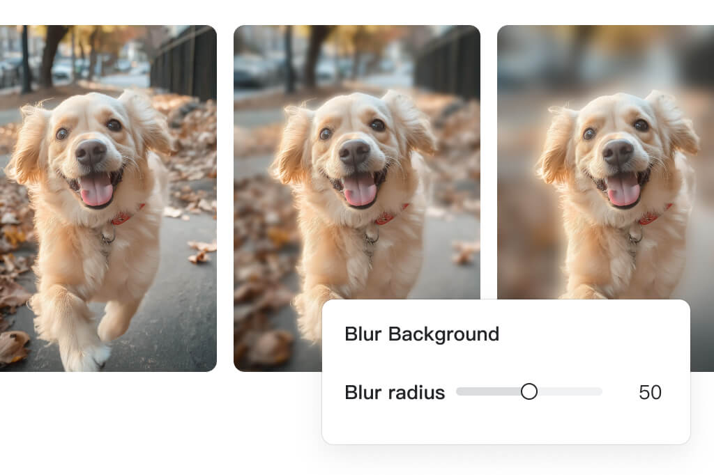 Blur Image with Full Control – Customize Intensity as You Like