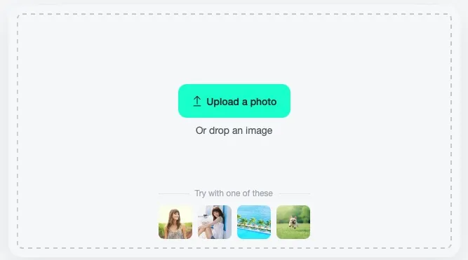 Screenshot demonstrating the process of uploading a photo to the Photo to Cartoon Tool in insMind