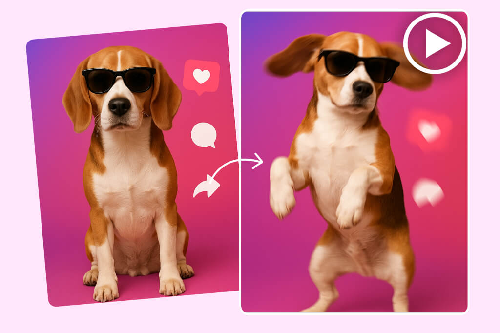 Use AI-generated dancing animal videos to create viral content for TikTok or Instagram.