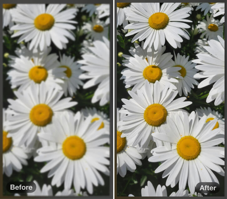 Fix blurred screenshots and improve clarity with AI-powered image enhancement.