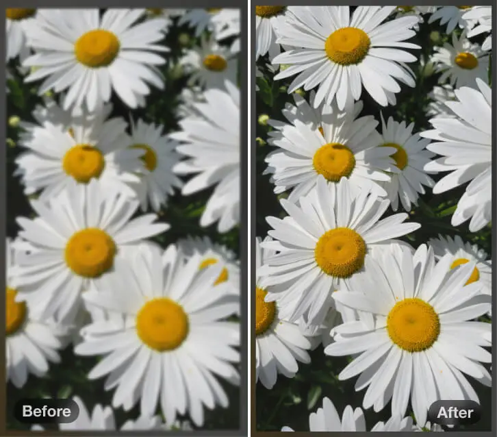 Fix blurred screenshots and improve clarity with AI-powered image enhancement.