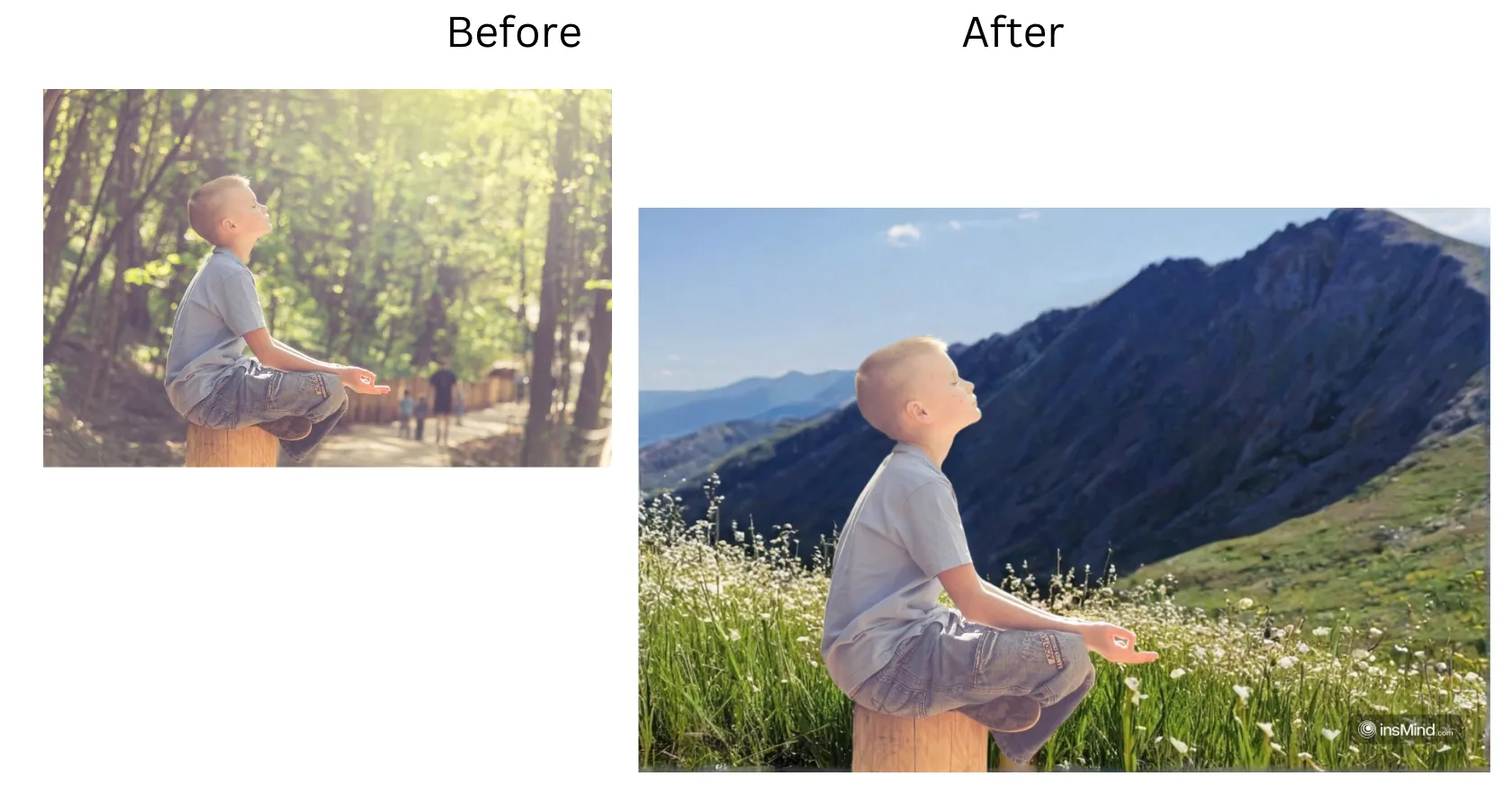 Demonstration image showing a photo before and after changing the background color using the insMind tool