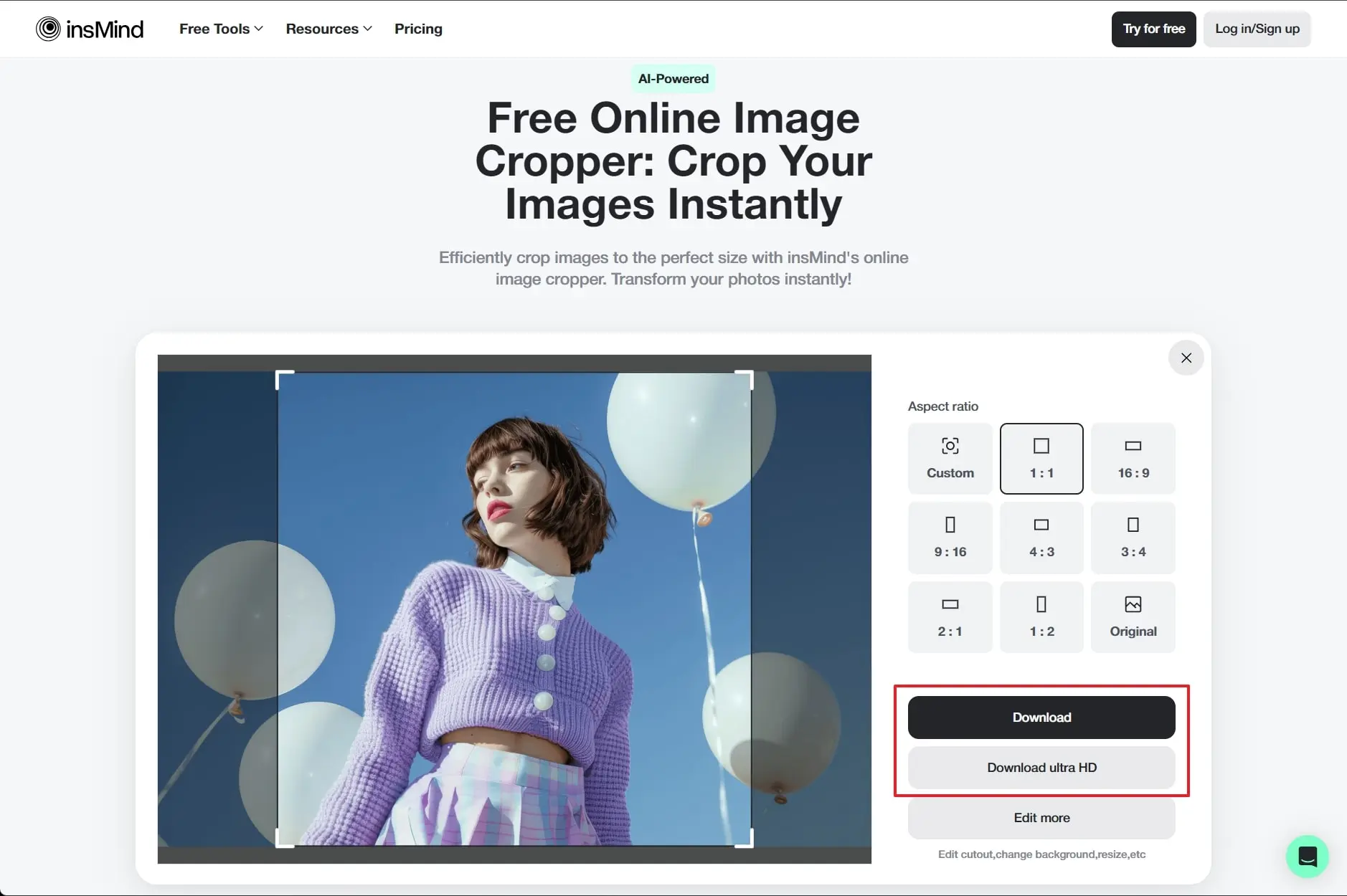 Screenshot that shows how to download the cropped image