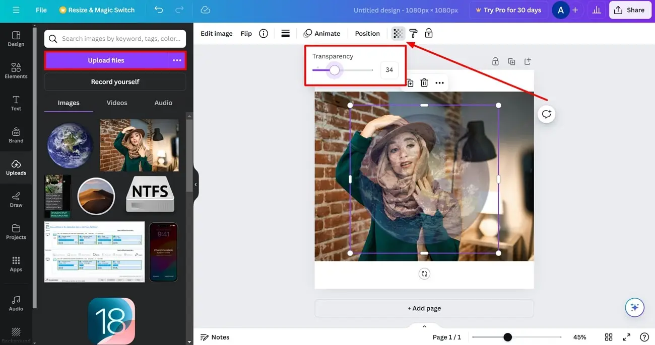 Screenshot that shows the interface of Canva