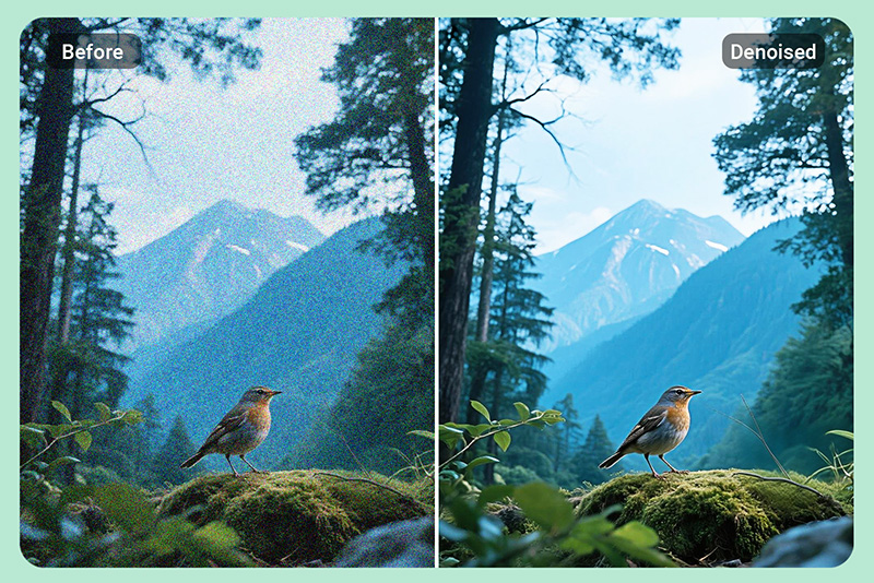 <p><span style="color: #000000;">Remove&nbsp;Grain&nbsp;from&nbsp;Landscape&nbsp;and&nbsp;Nature&nbsp;Photos</span></p>