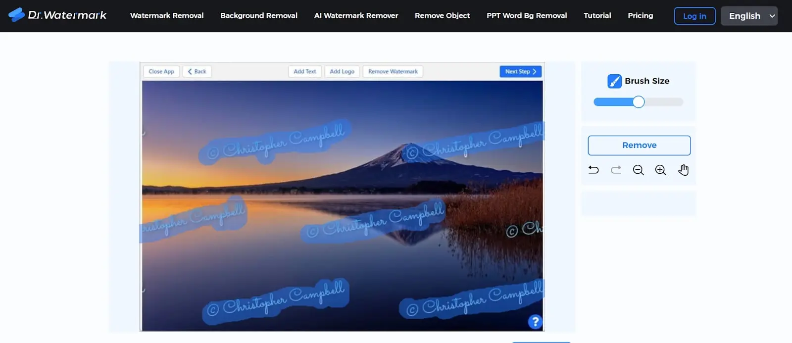 drwatermark ai watermark remover tool page