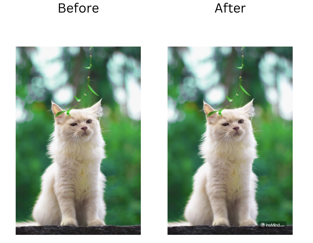 Demonstration image showing a photo before and after enhancing the photo using the insMind tool