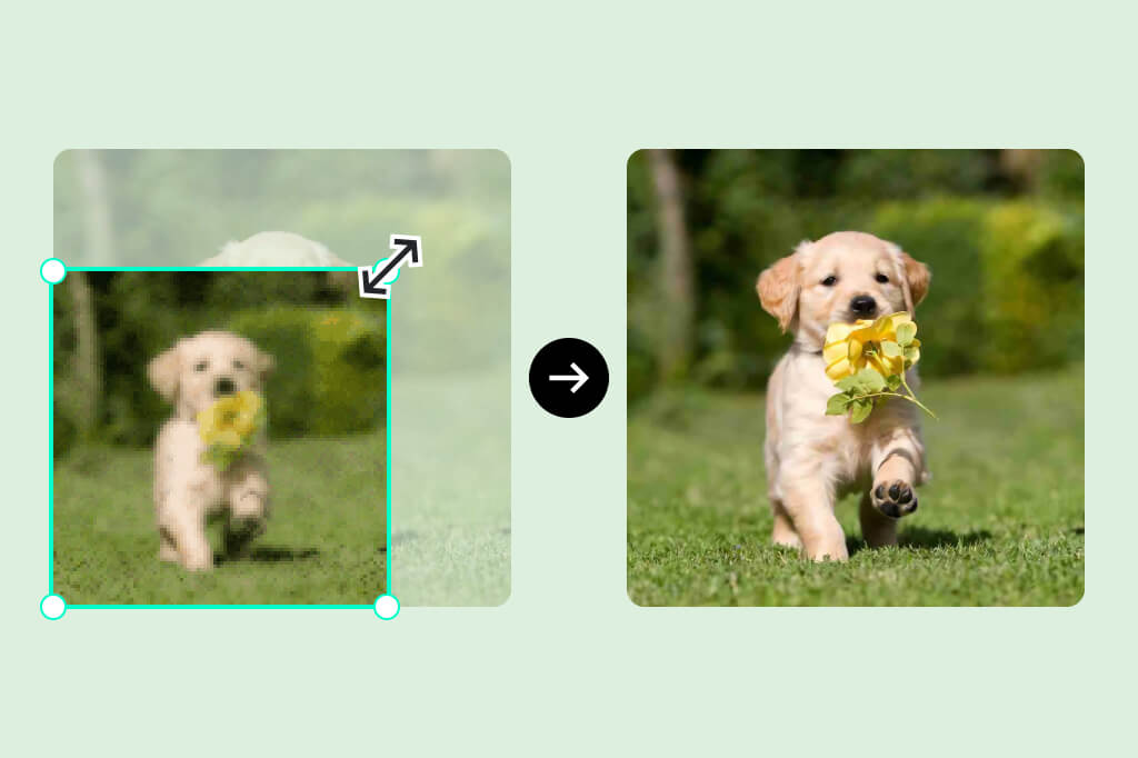 Increase Image Size while Preserving the Quality