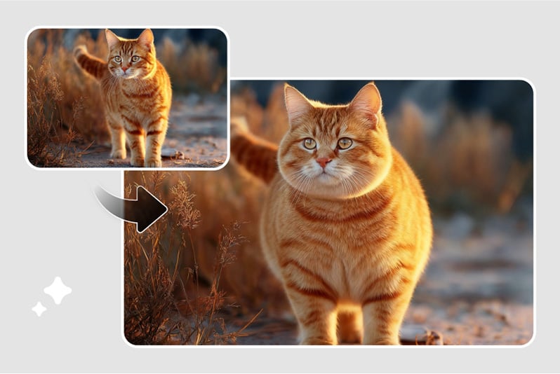 Turn&nbsp;Pets&nbsp;into&nbsp;Adorable&nbsp;Fat&nbsp;Companions