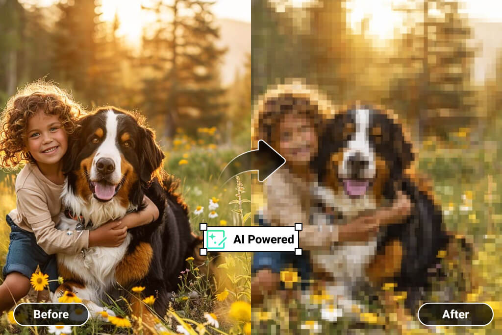 Pixelate a Picture to Protect Privacy
