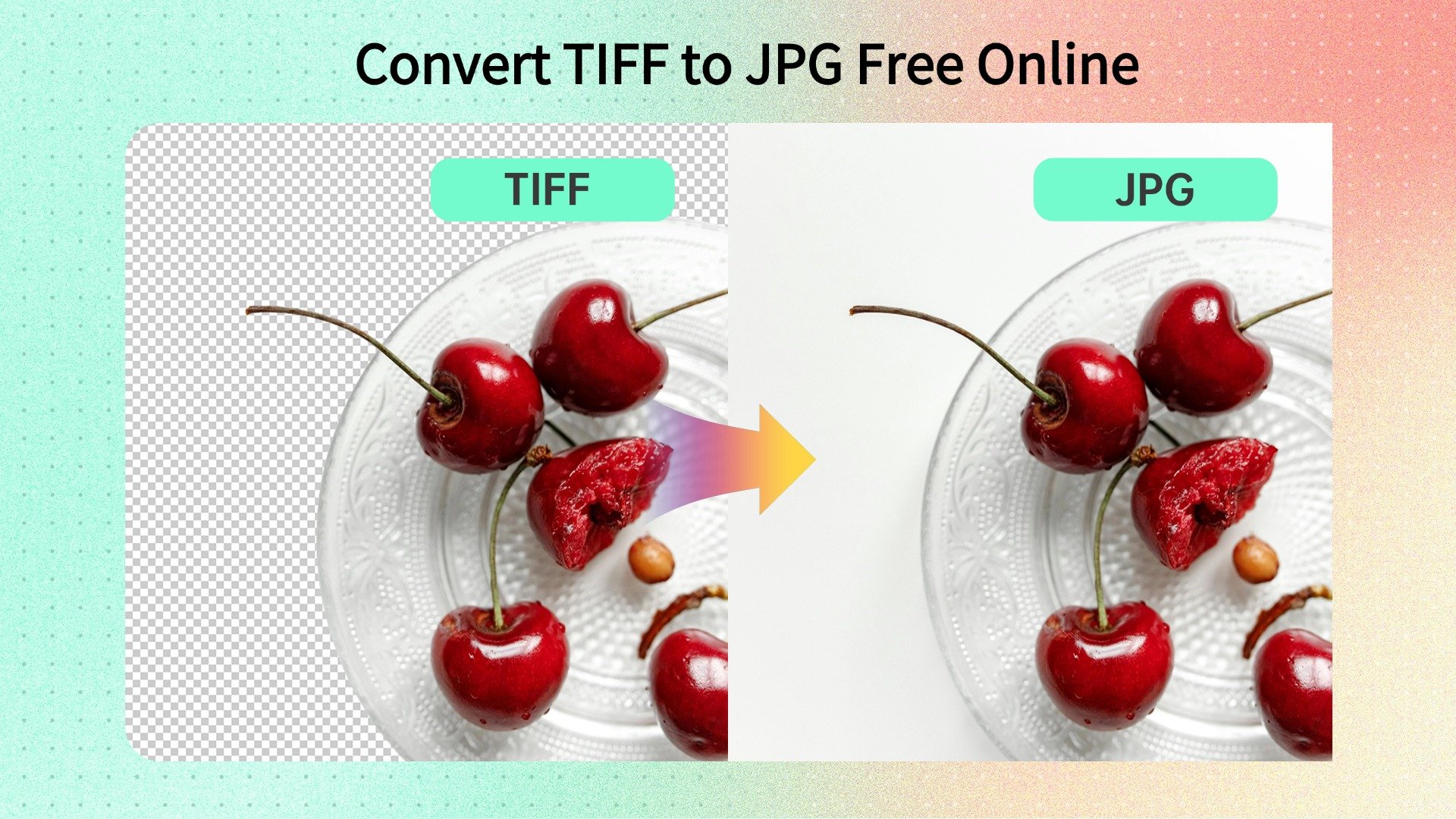 Boost Your Workflow with insMind’s Instant TIFF to JPG Converter