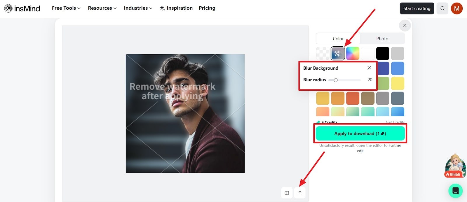 adjust the blur background for picture