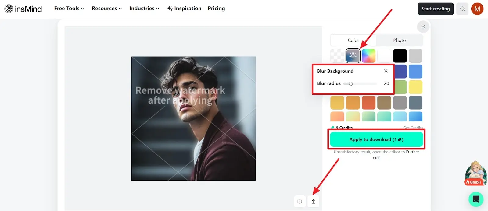 adjust the blur background for picture
