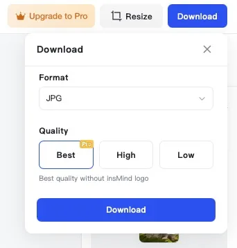 Downloading an edited photo using insMind