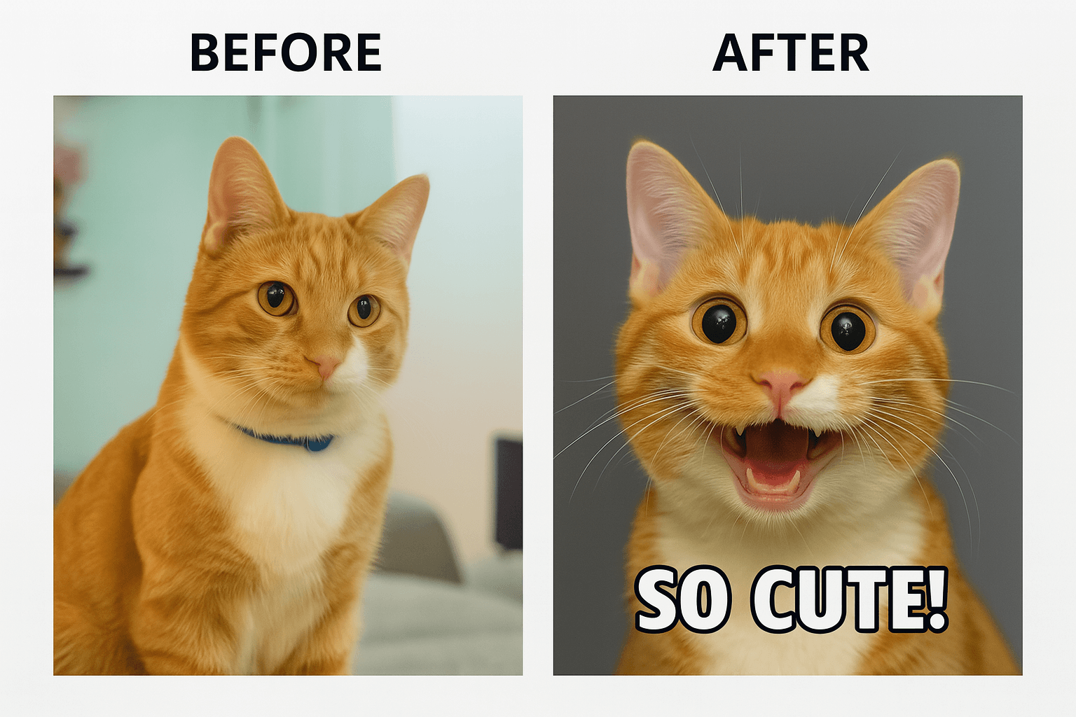 Create animated GIF memes from gameplay or stream reactions to engage audiences.