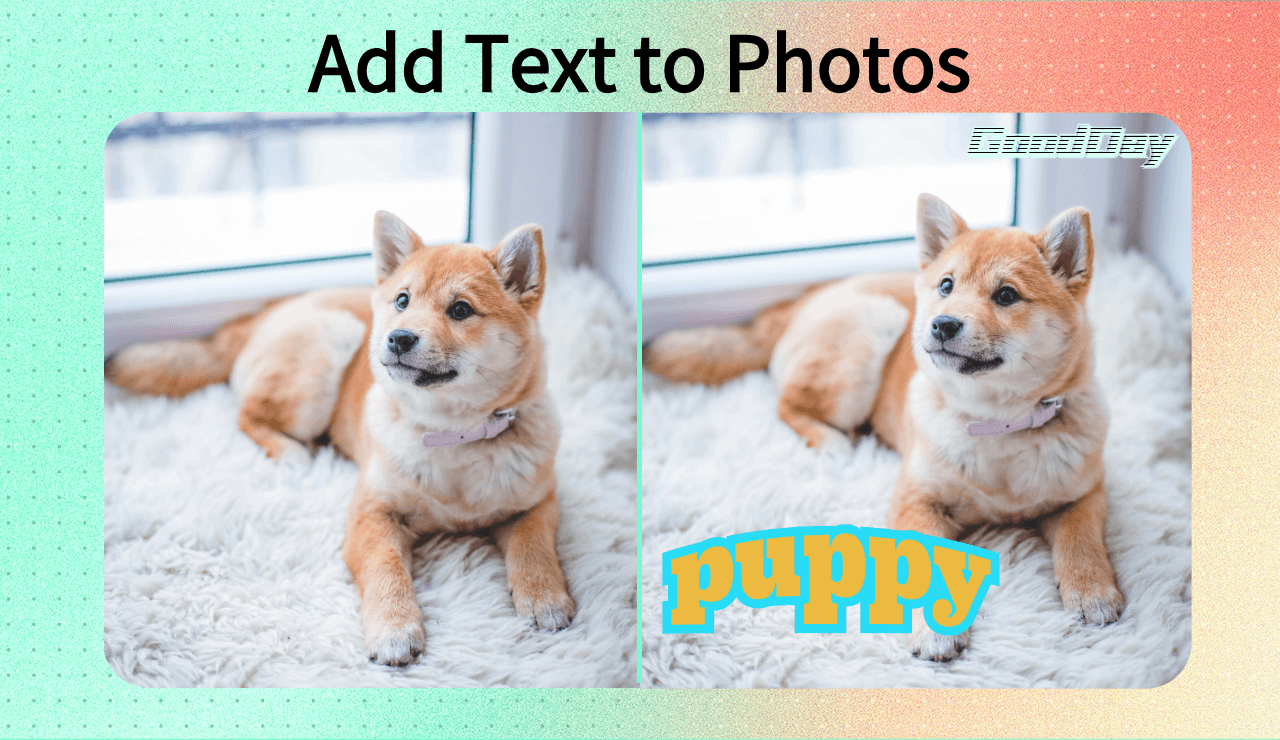 Guide on How to Add Text to Photos Easily Online