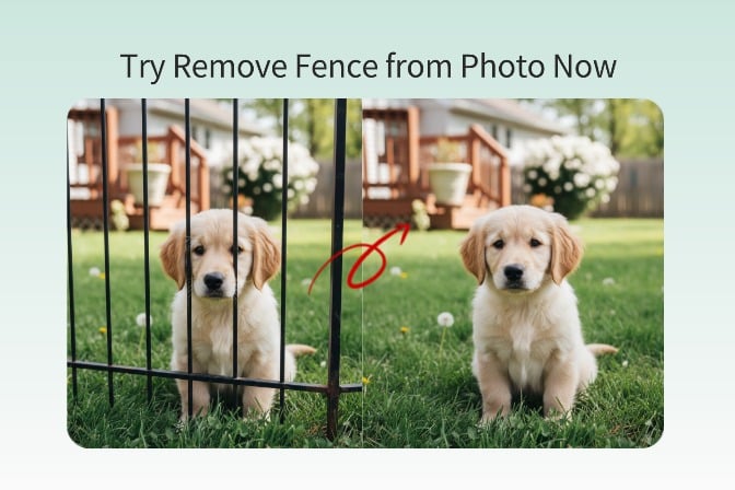 How to Remove Fence from Photo Precisely