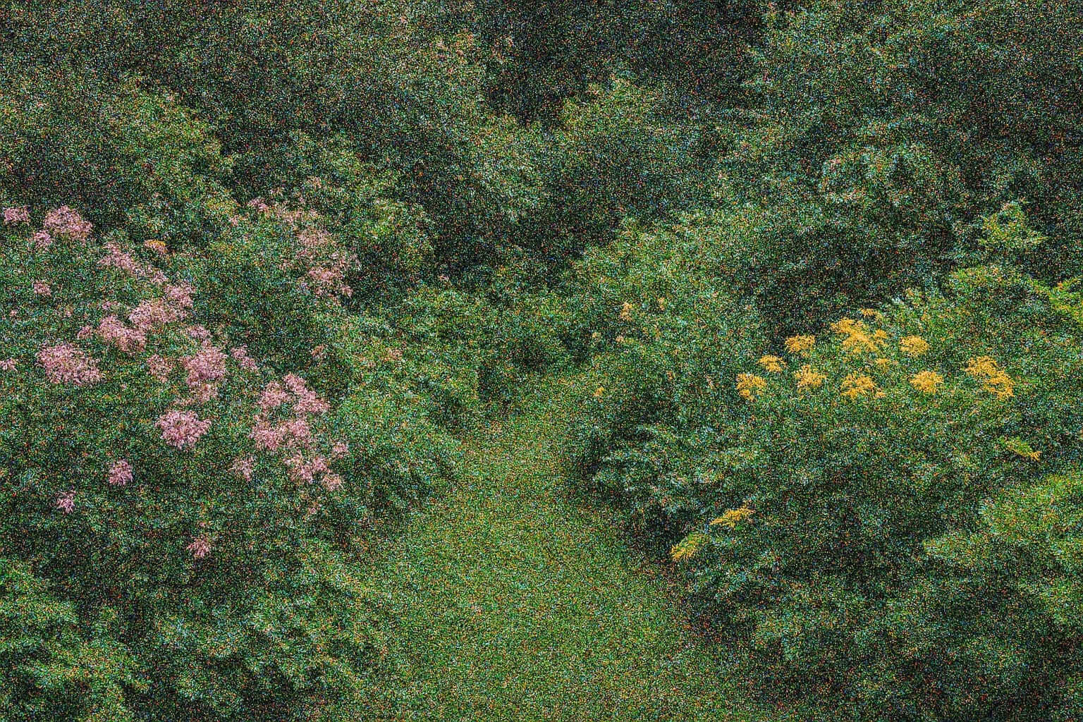 Gaussian Noise Remove Grain 