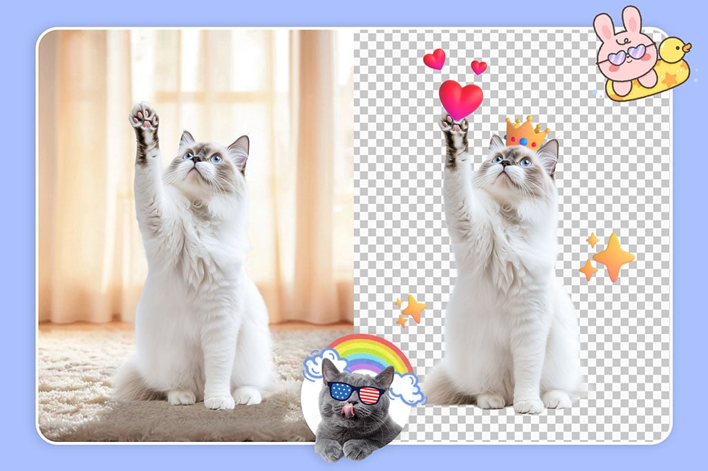 Turn Boring Photos Attractive by Adding Stickers in a Snap