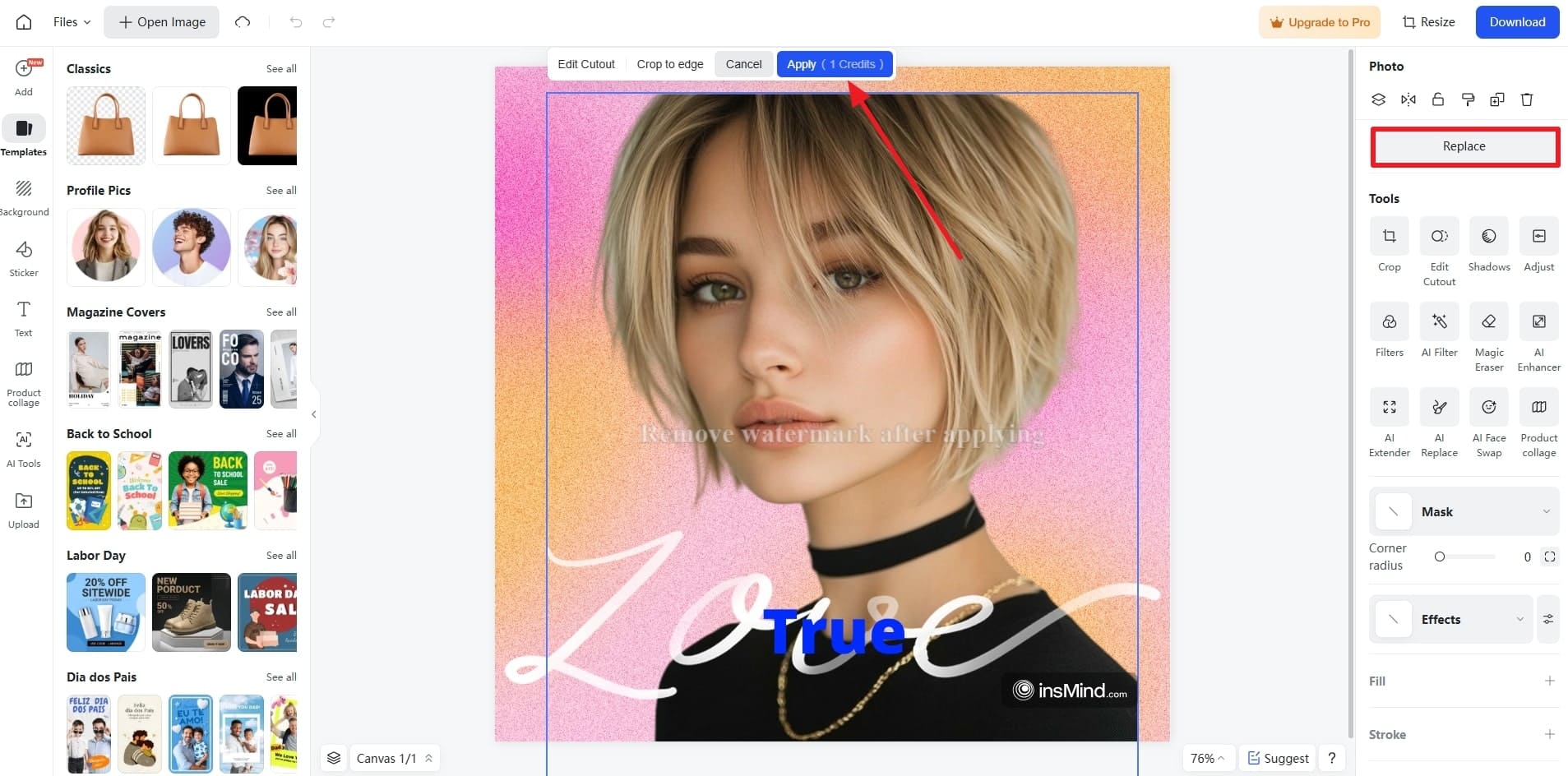 Replace Image And Customize