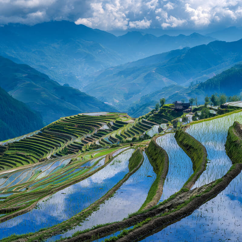 insMind AI Crying Filter Sample 1