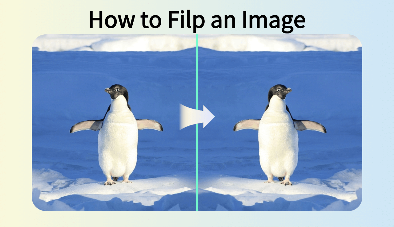 Free Online Flip Images: Easy Tool to Flip an Image