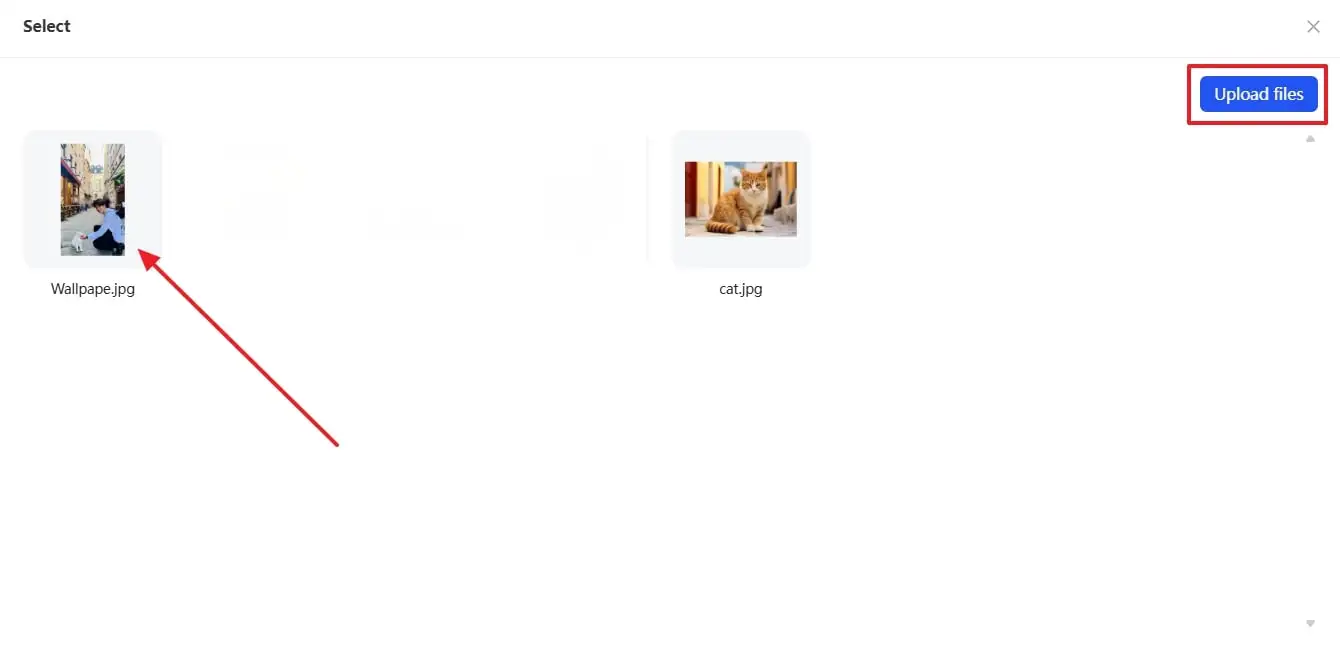 Upload Your Image In Template