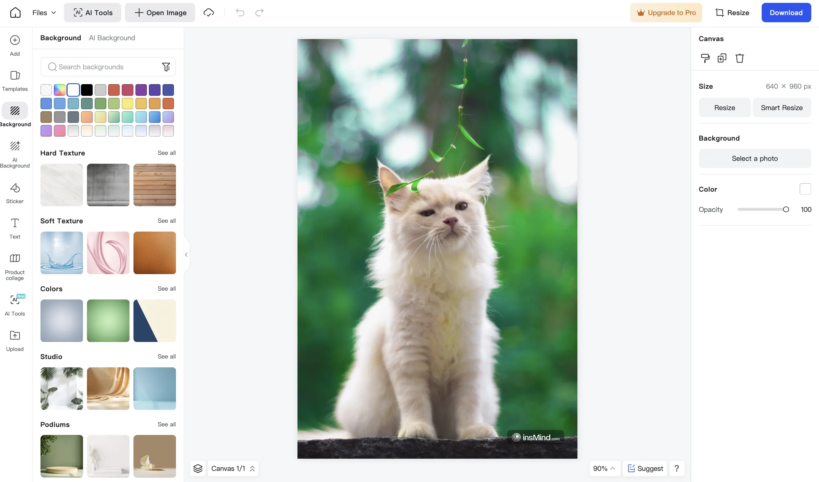 Screenshot demonstrating the customization of a photo using insMind