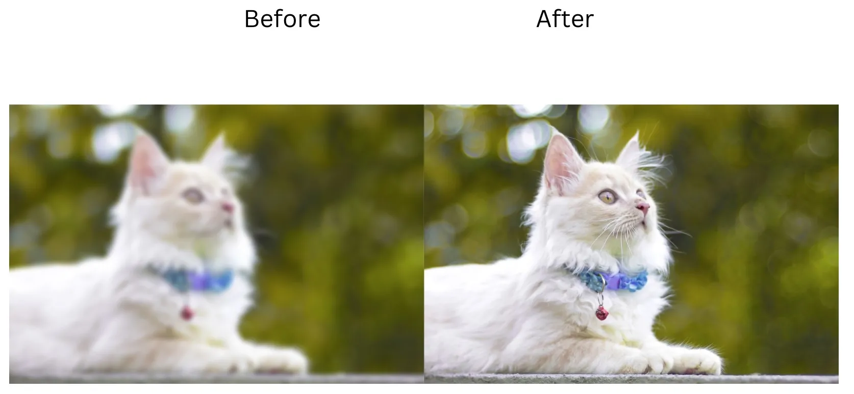 Demonstration image showing a photo before and after enhancing using the insMind tool