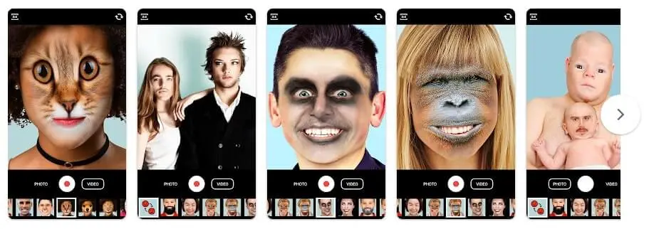 animal face swap app