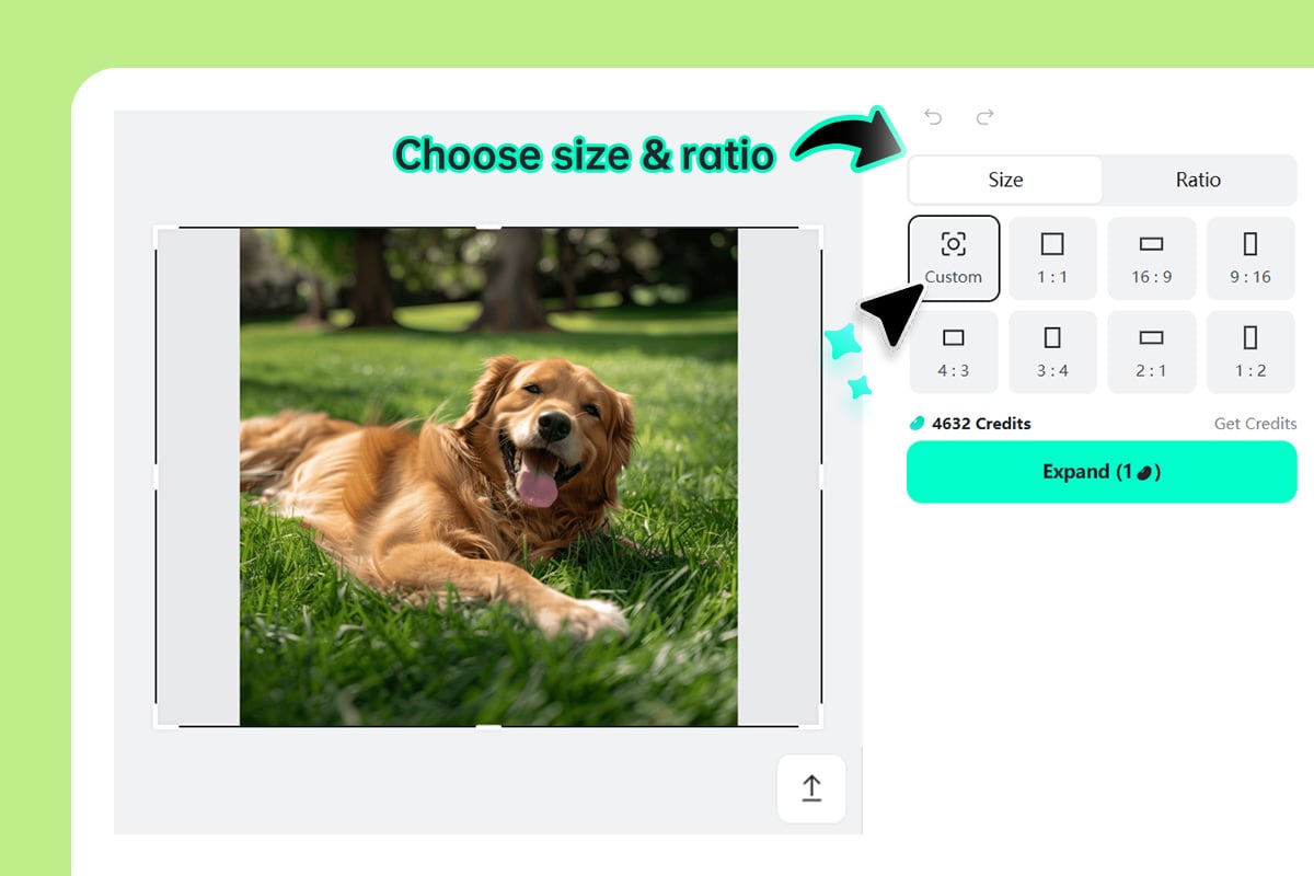 Step 2: Установите размер и соотношение сторон