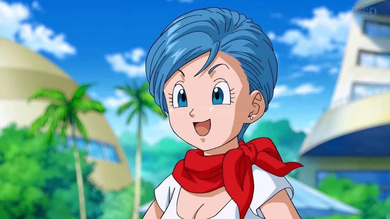 Bulma Briefs Anime Character