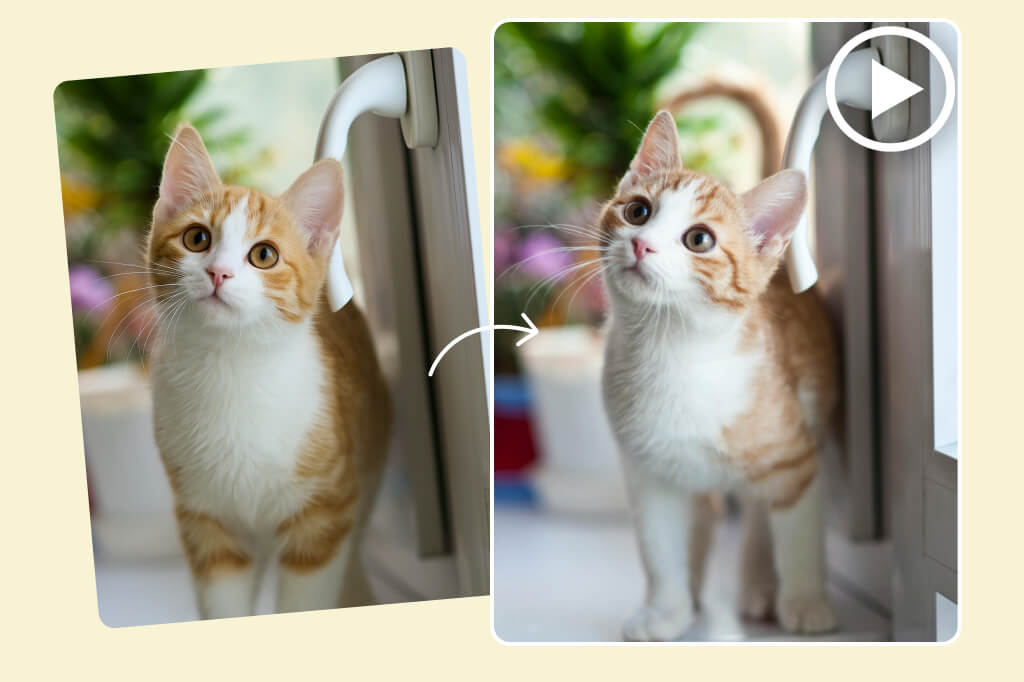 Turn photo collections into smooth slideshow videos for social media sharing.
