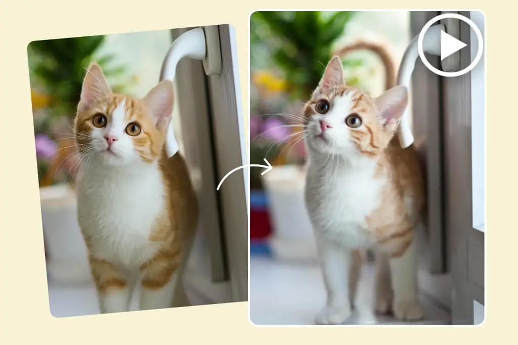 Turn photo collections into smooth slideshow videos for social media sharing.