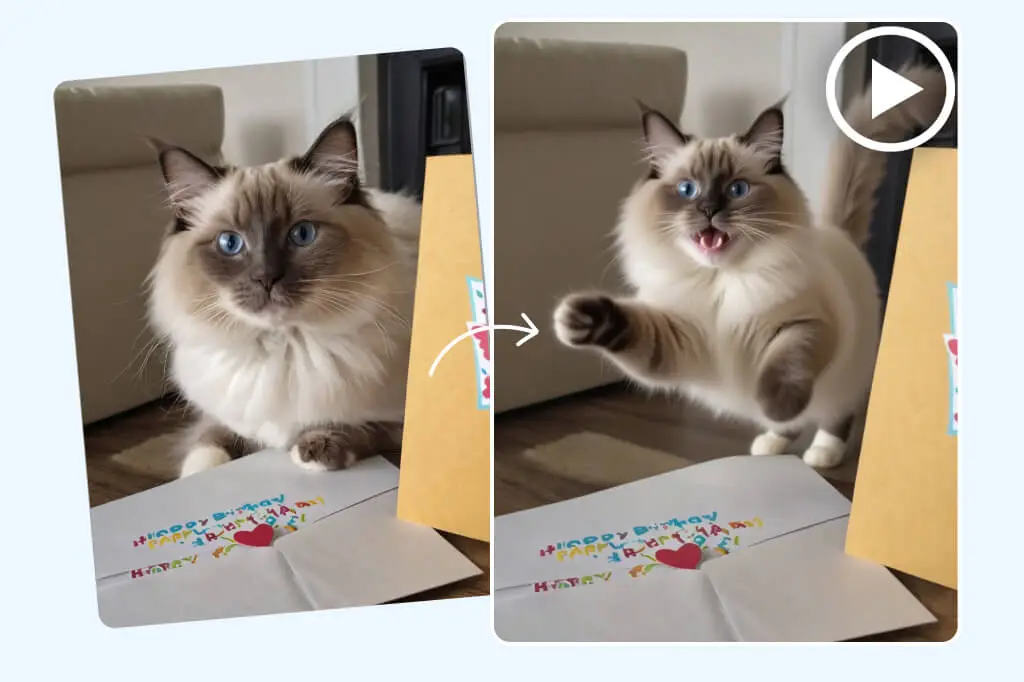 Make memorable birthday or holiday greetings with a dancing pet using AI.