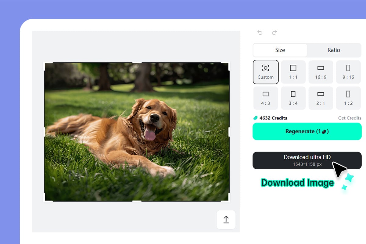 Step 4: Скачайте расширенное изображение