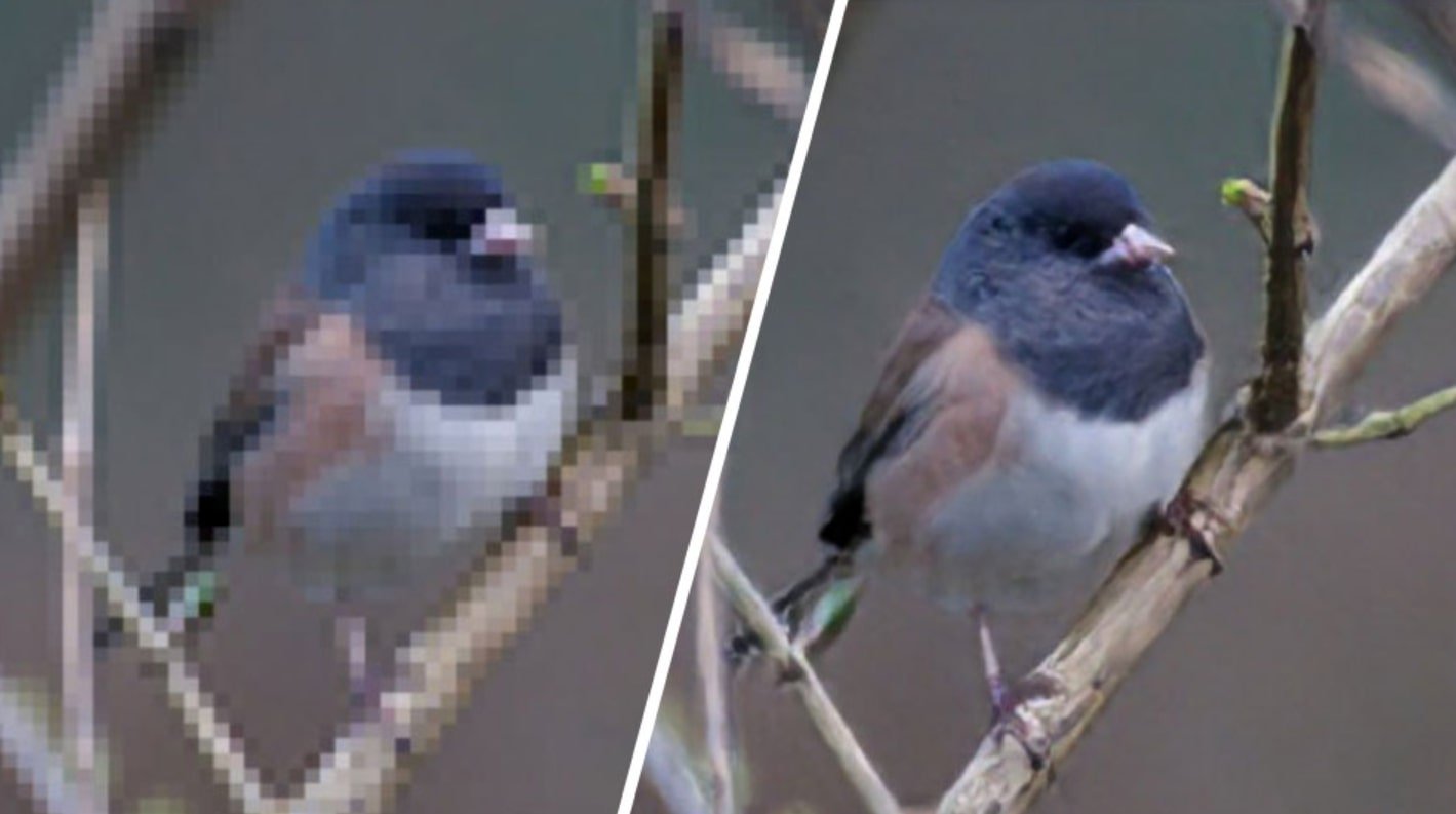 Tips to Avoid Pixelation in Images