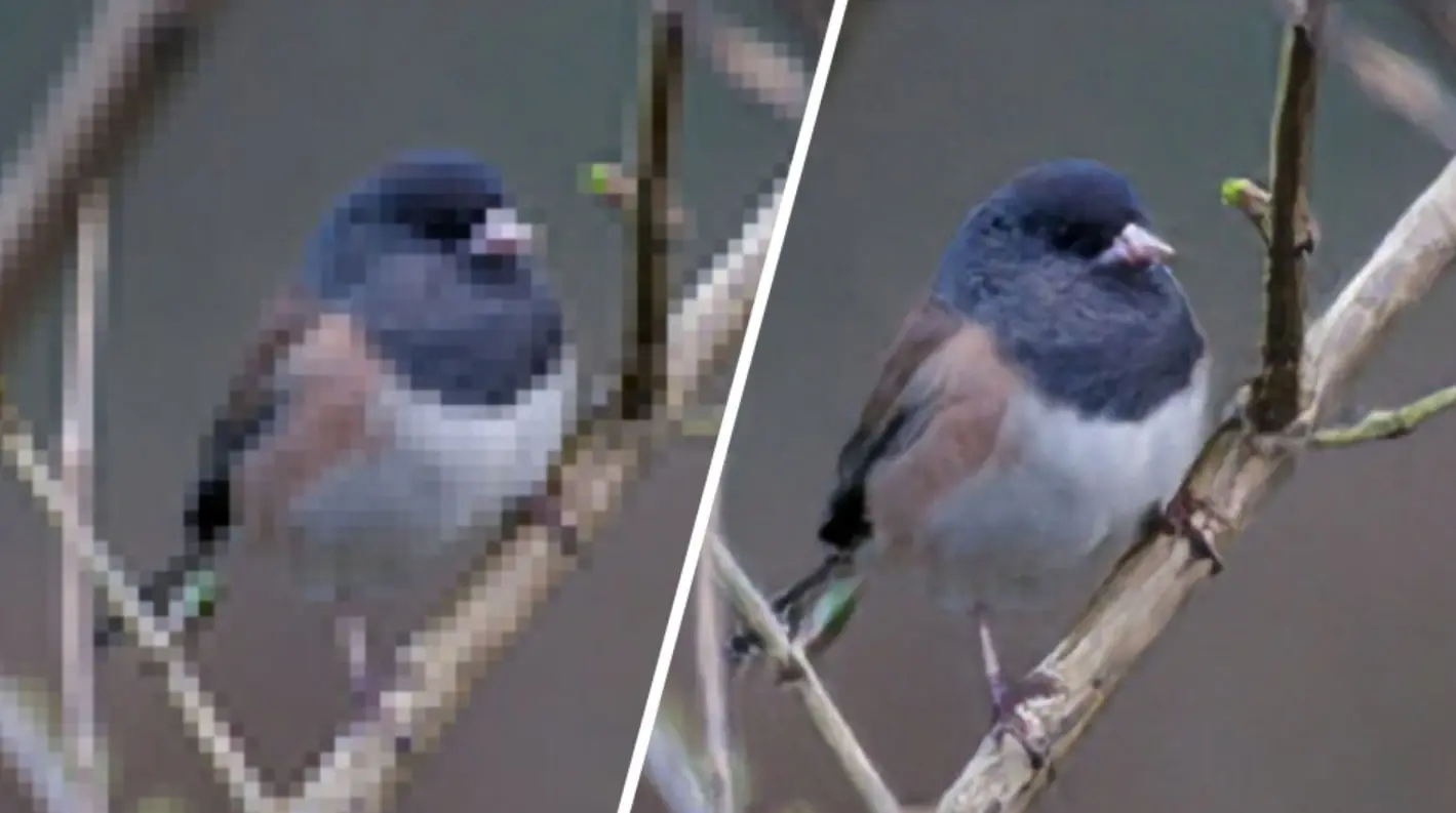 Tips to Avoid Pixelation in Images