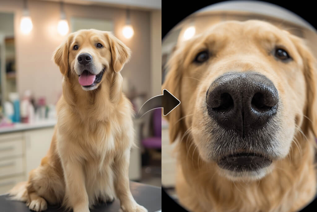 AI Fish Eye Filter for Every Photo Type