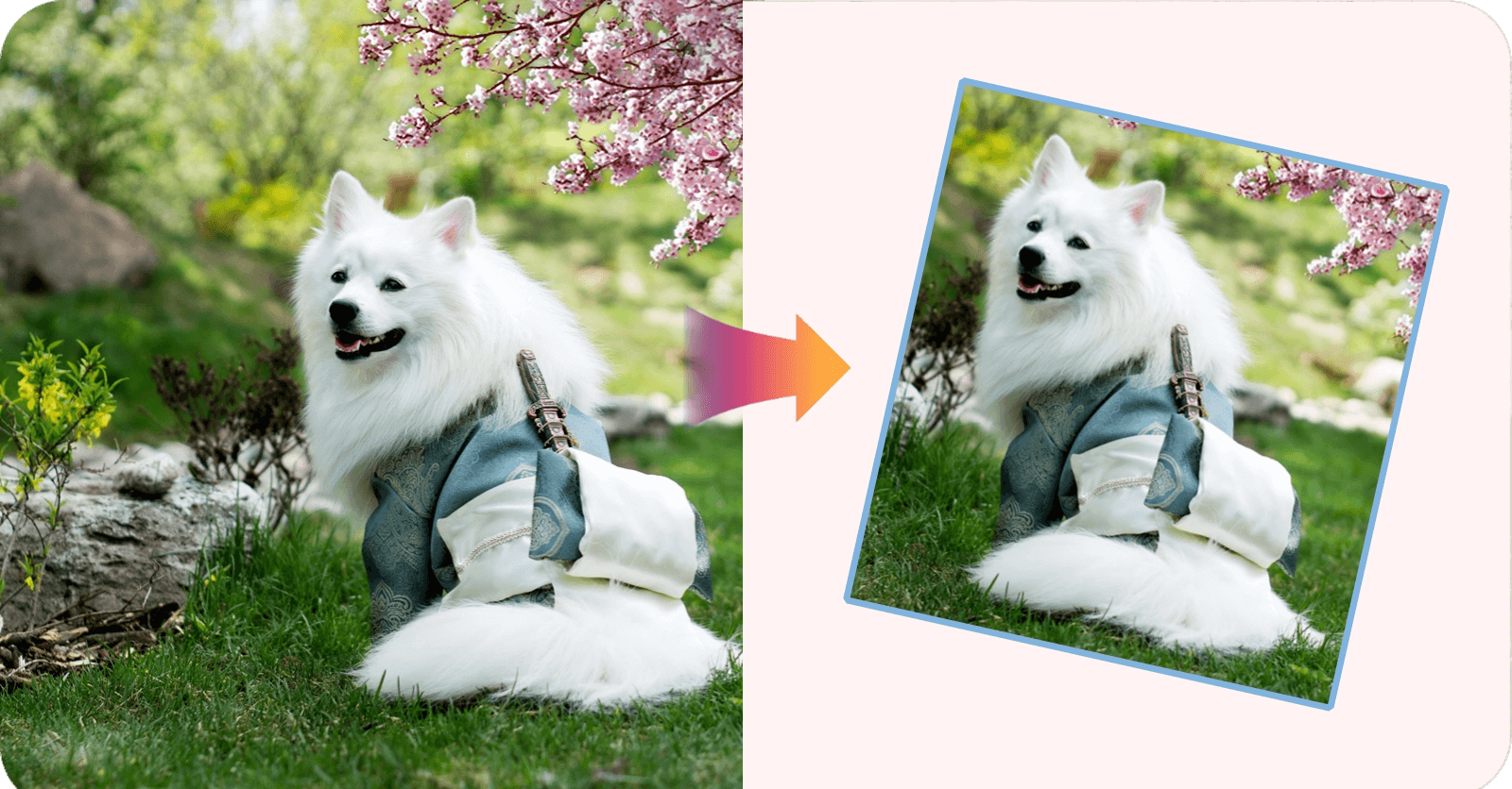 Demonstration image showing a photo before and after using the AI Image Resizer tool