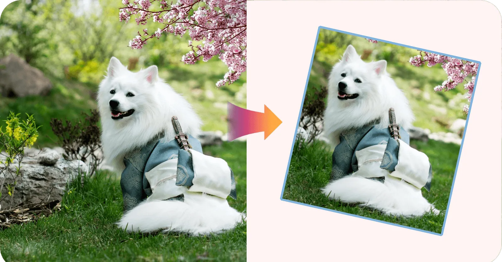 Demonstration image showing a photo before and after using the AI Image Resizer tool