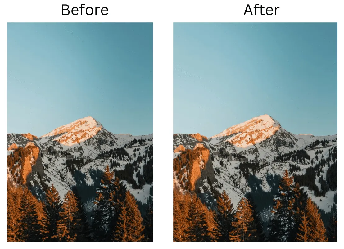 View the comparison of your image resizing results before and after edits with insMind.