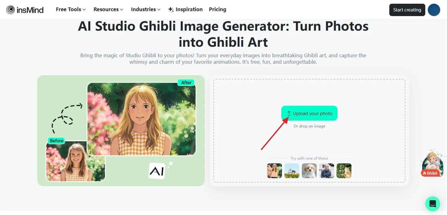 Upload picture on insMind image generator 