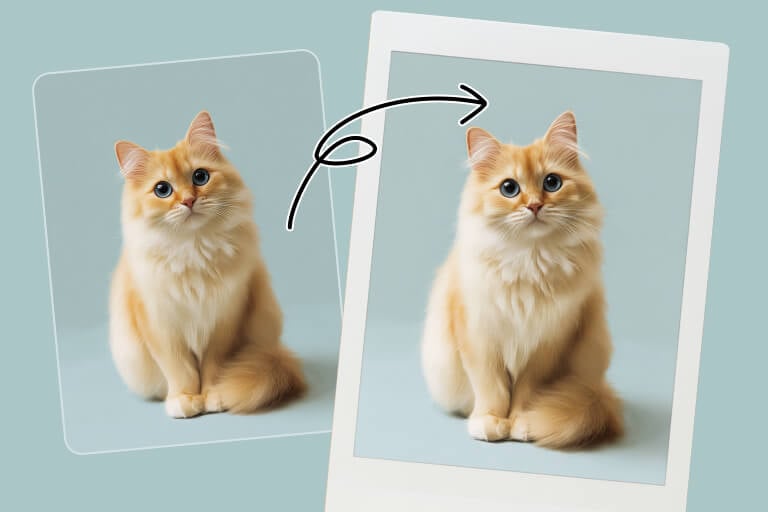 Turn Your Pet into Polaroid Shots Turn Your Pet into Polaroid Shots