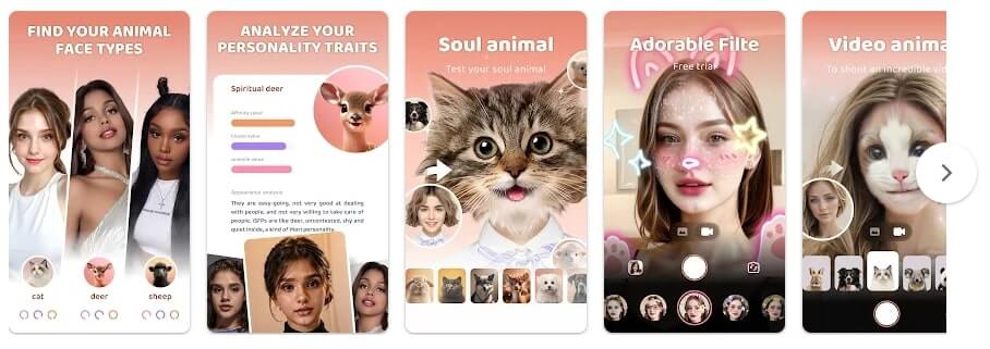 AnimalFace – face types test